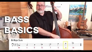 BASS BASICS Double Bass Technique for Beginners [upl. by Bette]