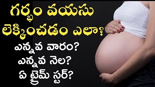 How to calculate pregnancy months in telugu  weeks months amp trimesters calculation in telugu [upl. by Nehtanhoj]