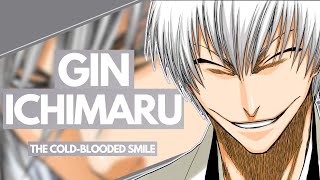 GIN ICHIMARU  Bleach Character ANALYSIS  The ColdBlooded Smile [upl. by Ailel]