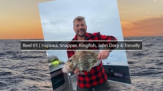 Hapuka Snapper Kingfish John Dory and Trevally [upl. by Maller]