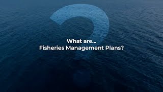 What are Fisheries Management Plans [upl. by Hadwin977]