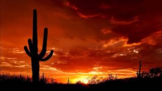 Wild Western Music  Cactus Desert [upl. by Arratahs]