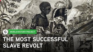 The Haitian Revolution and Its Causes  World History Project [upl. by Naujd]