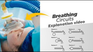 How To Set Up A C Circuit [upl. by Silecara]