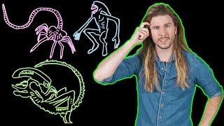 Alien Xenomorph Biology Explained Because Science w Kyle Hill [upl. by Durant928]