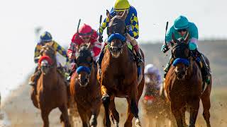 Eddie Olczyk Preakness Contender Previews  National Treasure [upl. by Amaris702]