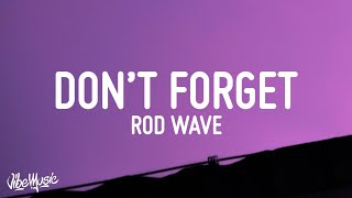 Rod Wave  Dont Forget Lyrics [upl. by Faludi]