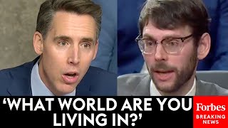 Its Right Here In Your Testimony Josh Hawley Absolutely Loses It On Democrats Witness [upl. by Urissa]