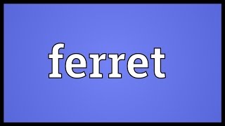 Ferret Meaning [upl. by Lia753]