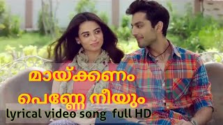 Maykanam Penne Neeyum Lyrical Video│Sadil Kasargod│Haneefa kaypuram│Latest Malayalam Album Song [upl. by Ydiarf381]