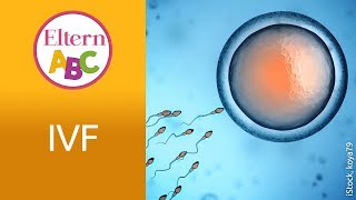 In welchen Fällen ist eine IVF sinnvoll  Kinderwunsch  Eltern ABC  ELTERN  Elternratgeber [upl. by Nehtanhoj]