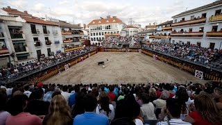 Arganda del Rey cuna de recortadores [upl. by Cullin989]