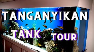 Lake Tanganyikan  Kiriza Tropheus  Display Tank amp Sump Filtration Tour [upl. by Llenahs]