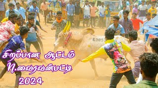 சிறப்பாக நடைபெற்ற N வைரவன் பட்டி மஞ்சுவிரட்டு 2024 n vairavanpatti manjuvirattu [upl. by Southworth]