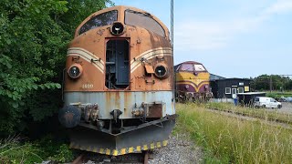 Detail Rostige Nohabs in Padborg DSB My Mx CFL Altmarkrail DB MZ [upl. by Enyrehtac]