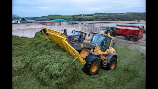 Buckraking Silage  Volvo L90 amp L60 Loading Shovels [upl. by Ardiedak737]