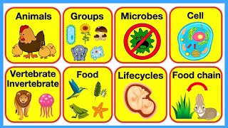 ANIMALS 🐢  Cells Animal Groups Life Cycles Food Chains Trophic Levels  Chapter 2 [upl. by Bernette564]