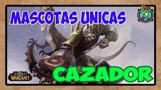 Mascotas UNICAS Cazador  World of Warcraft [upl. by Charlene]