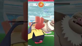 Pokémon Go  Slaking Raid Solo In Cloudy Using All Unique Fighting Types Against Boosted Play Rough [upl. by Kcira]