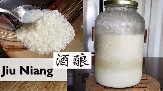 How to Make Sweet Fermented Rice  Jiu Niang 酒酿 [upl. by Atwood]