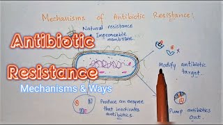 An Overview Of The Antimicrobial Resistance Mechanisms  Antibiotic Drug Resistance  Medico Star [upl. by Reifel]