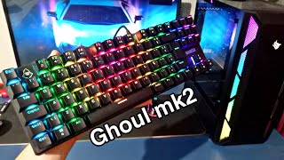 Tunando meu setup com meu teclado novo Mancer Ghoul mk2 [upl. by Angelo]