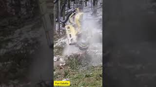 Tree cutting 🔥 Tree cutting mechanism 🔥 New mechine 🔥 New way to cut the tree🔥 [upl. by Lipkin]