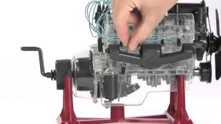 Revell Visible V8 Engine Model [upl. by Lalat]