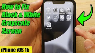 iPhone iOS 15 How to Fix Black amp White Grayscale Screen [upl. by Sorensen]