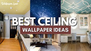 Best Ceiling Wallpaper Ideas  Top Ceiling Wallpaper Trends  Wallpaper Land [upl. by Convery]