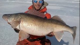 Lake Erie Awesome Ice Fishing for Hawgeye Walleye  Fishing and Fun with JFick  Ohio Outdoors [upl. by Greysun980]