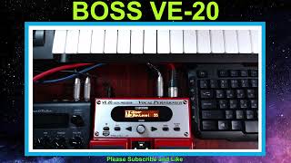 Boss VE20 Vocal Performer Best Preset Harmonizer 0106 Settings [upl. by Coe]