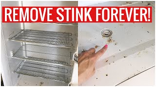 Stinky Fridge or Freezer How to REMOVE the SMELL for GOOD Cleaning Hacks  Andrea Jean Cleaning [upl. by Umont885]