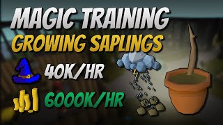 Growing Saplings 40K EXP  6000K GPHr [upl. by Landbert568]