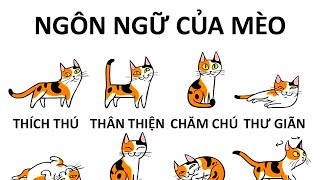 Làm Sao Để Hiểu Mèo Của Bạn Hơn [upl. by Akienahs]