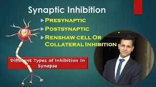 Synaptic InhibitionDifferent Types Of Inhibition In Synapse Presynaptic Postsynaptic Renshaw Cell [upl. by Aldarcy]