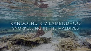 Snorkelling in the Maldives  Kandolhu amp Vilamendhoo  2016 [upl. by Vincents]