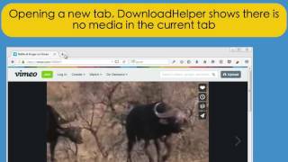 Video DownloadHelper 6 User interface basics [upl. by Eltsyrhc297]