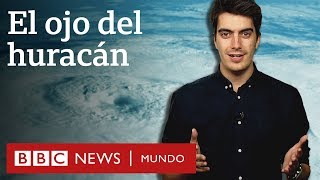 ¿Por qué hay calma en el ojo de los huracanes  BBC Mundo [upl. by Nrojb]