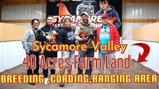 40 Acres Land of Sycamore Valley Farm Breeding Ranging Cording AreaPart 4 [upl. by Norvall866]