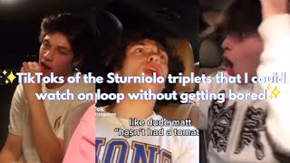 TikToks of the Sturniolo triplets that I could watch on loop without getting bored [upl. by Atterual802]