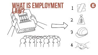 What is Employment Law [upl. by Cosimo]