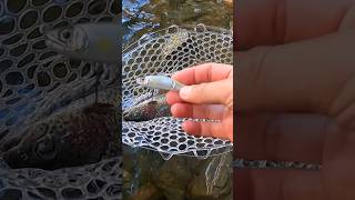 Catching Rainbow Trout using Gancraft Claw 70 Glide Bait  KastKing Kestrel Elite BFS [upl. by Frere440]