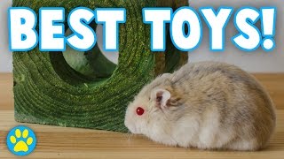 3 Toys Every Hamster NEEDS [upl. by Flieger]