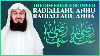 Meaning of RadiAllahu Anha RadiAllahu Anhuma RadiAllahu Anhu  Mufti Menk [upl. by Allevon744]