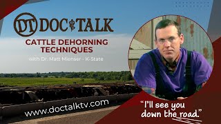 DocTalk  Cattle Dehorning Techniques 720p [upl. by Burck]