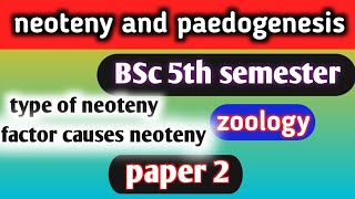 neoteny and paedogenesis bsc 5th semester zoologyneotenyandpaedogenesisneotenypaedogenesis [upl. by Glogau]