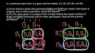 How to solve problems with multiple alleles [upl. by Sup890]