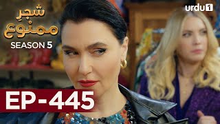 ShajareMamnu  Episode 445  Turkish Drama  Forbidden Fruit  Urdu Dubbing  24 August 2022 [upl. by Warden514]