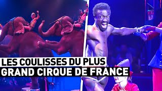 LES COULISSES DU PLUS GRAND CIRQUE DE FRANCE [upl. by Apthorp]